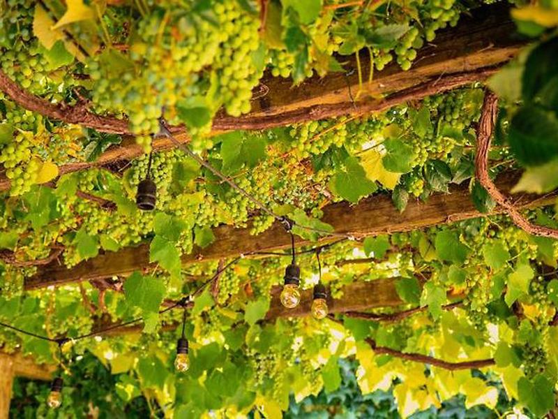 829FEFC00CEE5C4BB0D040B399DF1801