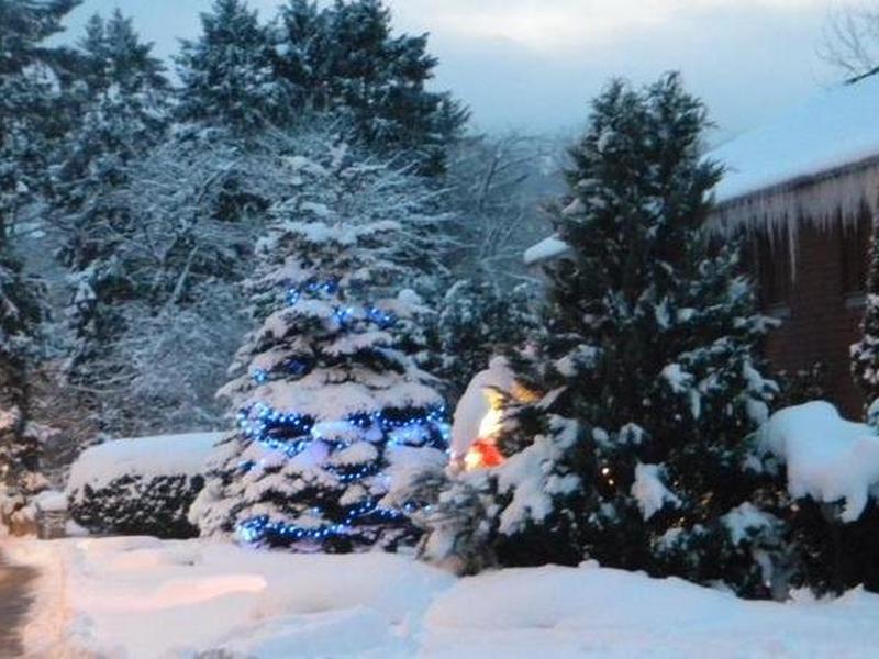 93A42234F11763D6E9670CEDF05AE3F2