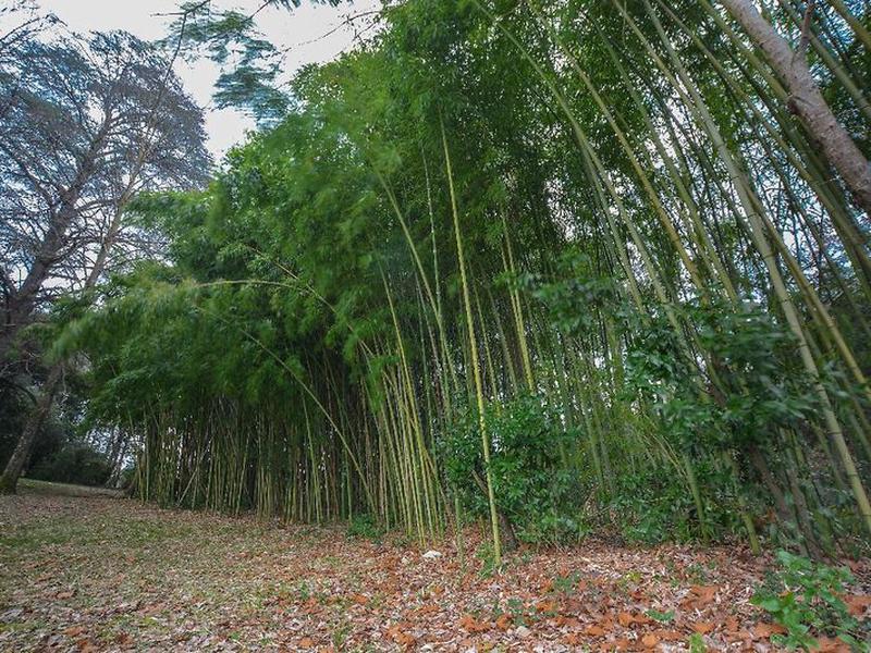 FA652580A3380EC350C78485FF53AA56