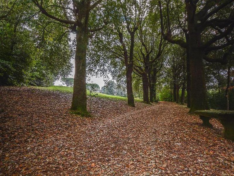 0017E5D3DD413ED8FB64C6AE2E5D9BF2