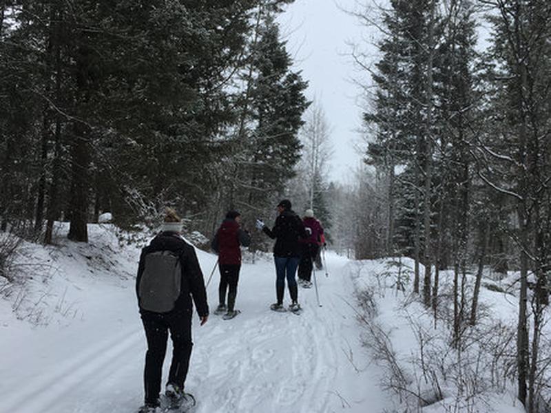 C500247F3AC7E1A4CD0A87EB03E1143A