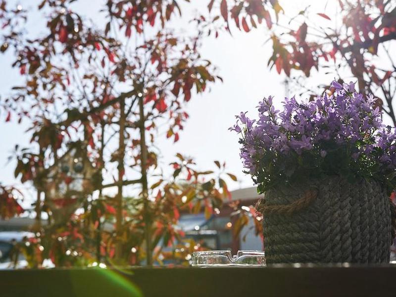 7E713056BF932AD9B3DF463DB1CDFE98