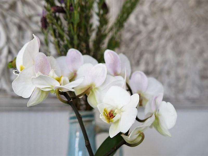 647D0A5AD1A863C62E69163542E1DAD0