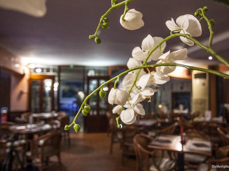 AF05D4668CFCD50CA9753990857C56AA