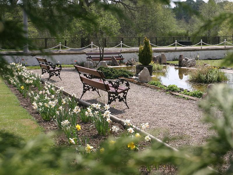 DF2D534388872258E061290E87BA1795