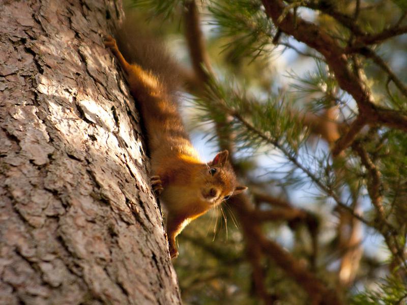 038595B36E9A40577C94858159E98718