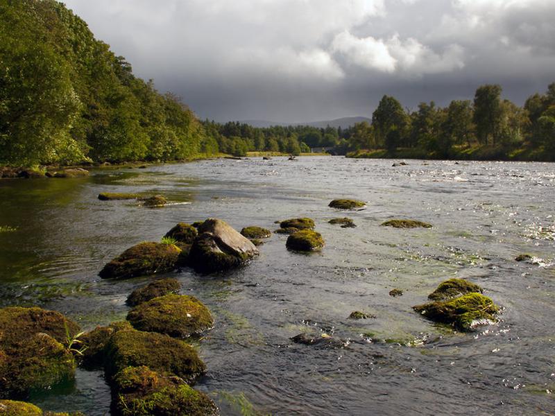 51BA9377411C65D538AF00C5DFEB9BFA