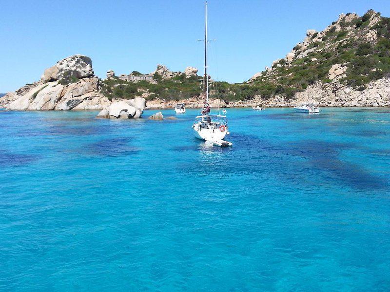 CF6A02BAA493E02B552F24D9EFFECA00