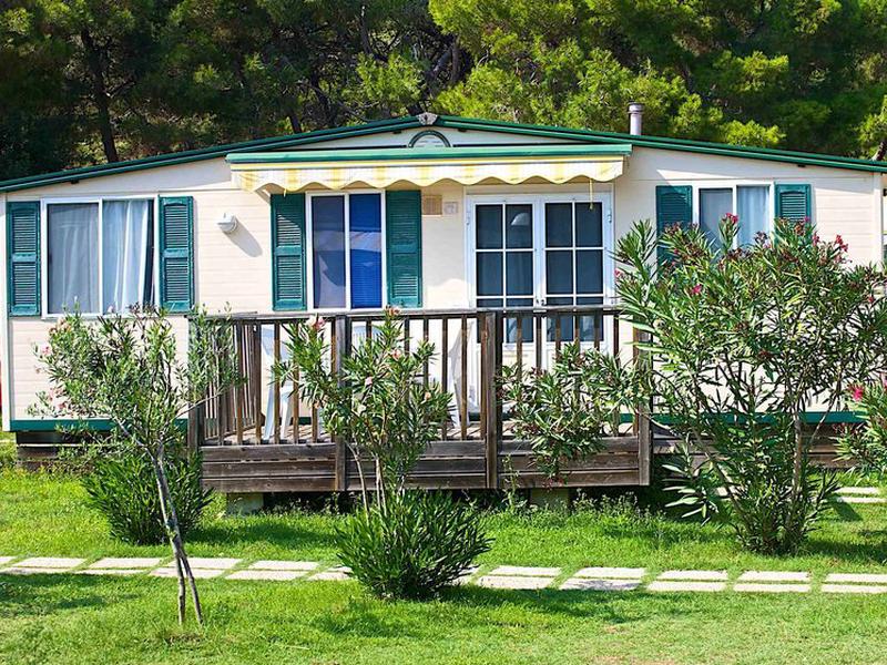 F442076C9997DFA275D6CC96A7F50AE4