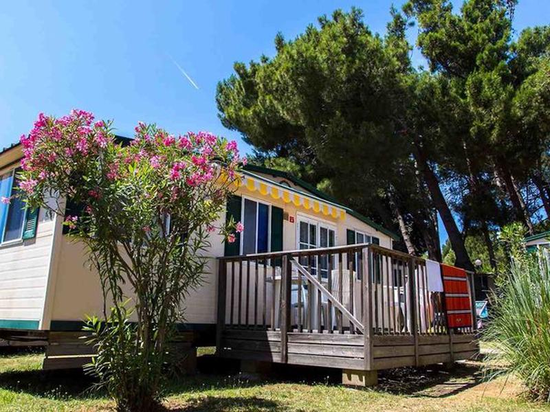 D5B9E3919D3B9887B39D0F52C825EA5A