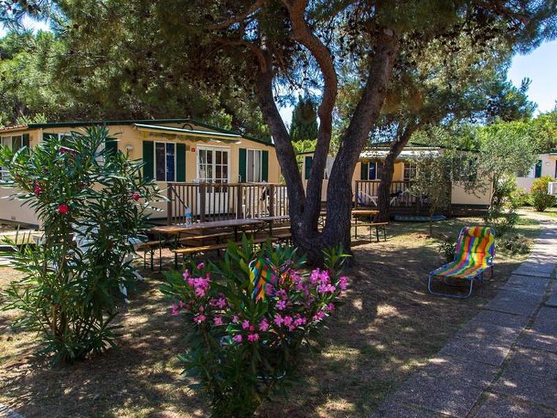 B4ECF210C6A11EFD404969153A6E3022