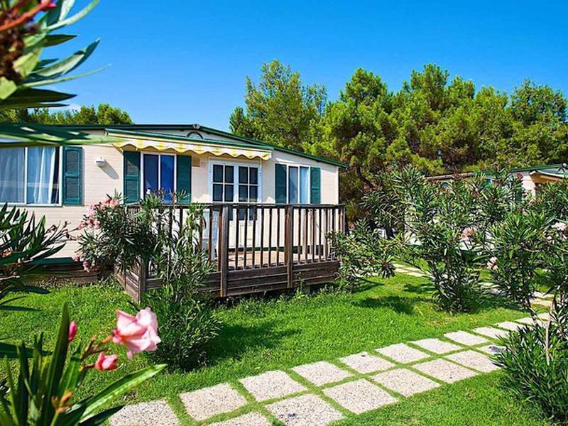 2238ADED76905F2B55BF99C45FE10AC8