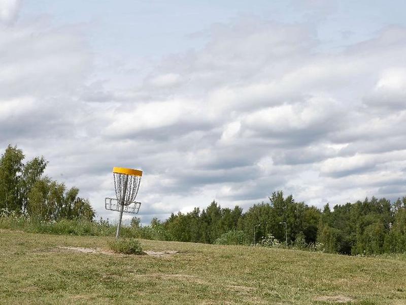 D45FC8CF0A8F01B21BDEE5A91A21A6D8