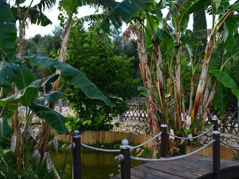 5A4301C26A85F0702D1AE8C96EDD3760