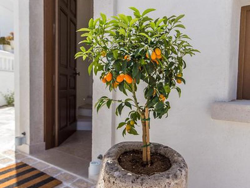 059AE5DFEEEFA1B5A25F4076688D3FEA