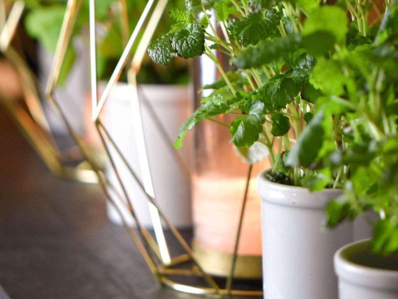 D5CD7572B15970F61EF137699440A1C4