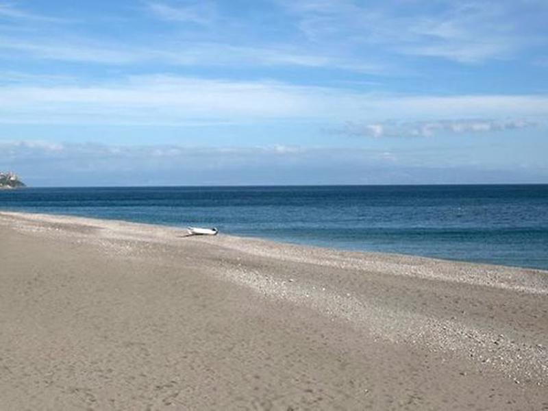 04A0E48B0AAF874733C3E0E4C42E5004