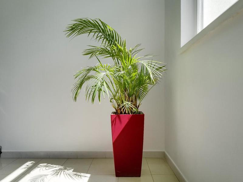 A162B2BDABDF4C35B2BC76598B21E1B1