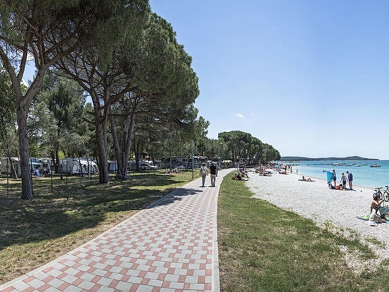 B779FF3EA496761A34055CF49A29C553