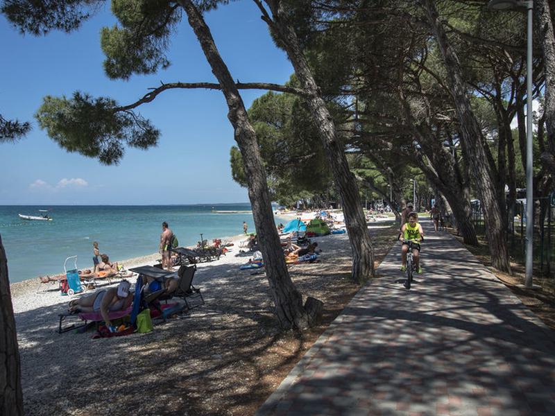 A38B2CDACC5142F67CA2F256DB7098B7