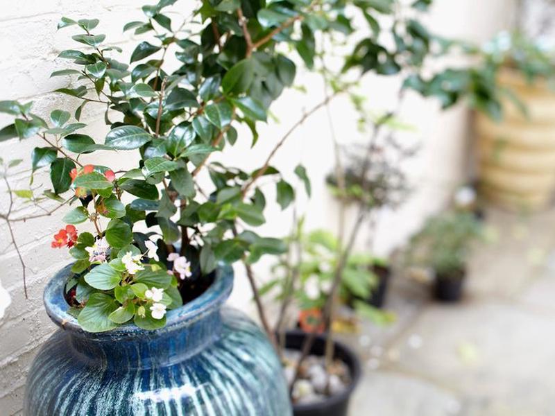 31338326DDA325BB86ED0F4667224BDD