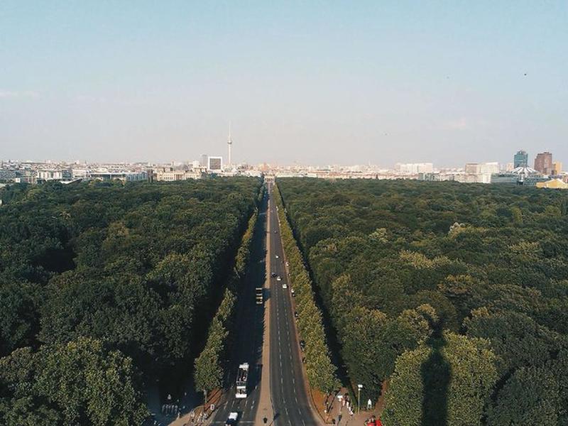 906009C51241C563B8F6816C74935797