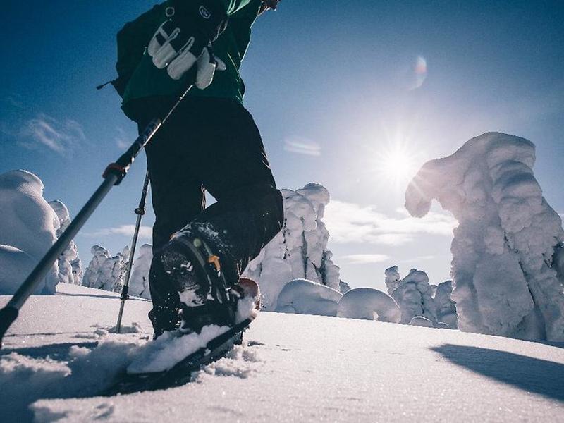 9AFE8BC5433136B042501F4690DA2F7A