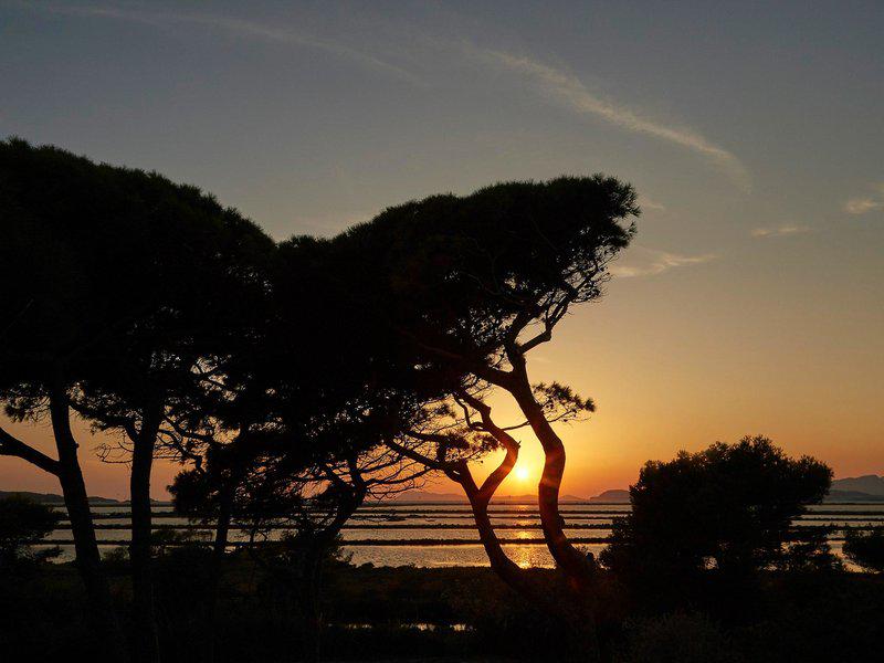 68D77992BA85090950FCCD260FC6486E