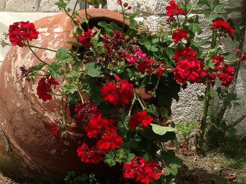 9CE48BEB3C67A070E256BAB6D3060964