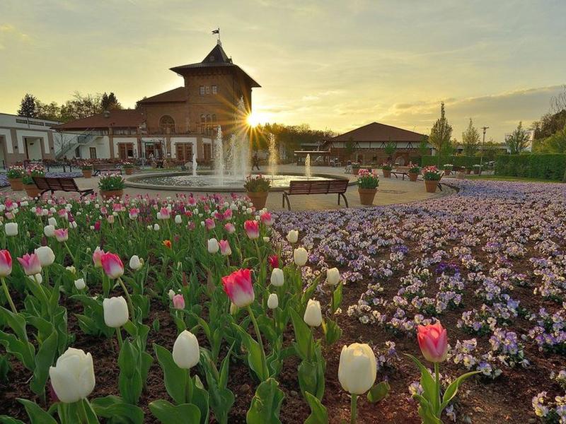 C3A38AC48AB94B06DB358CA9DF8F1B25