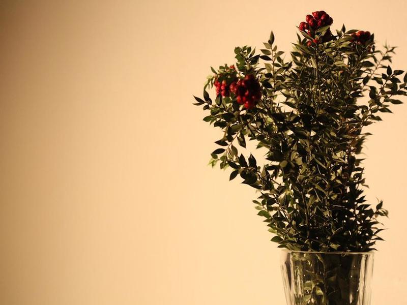 0A5EB7AF1012B66E54E5955C9F0C3778