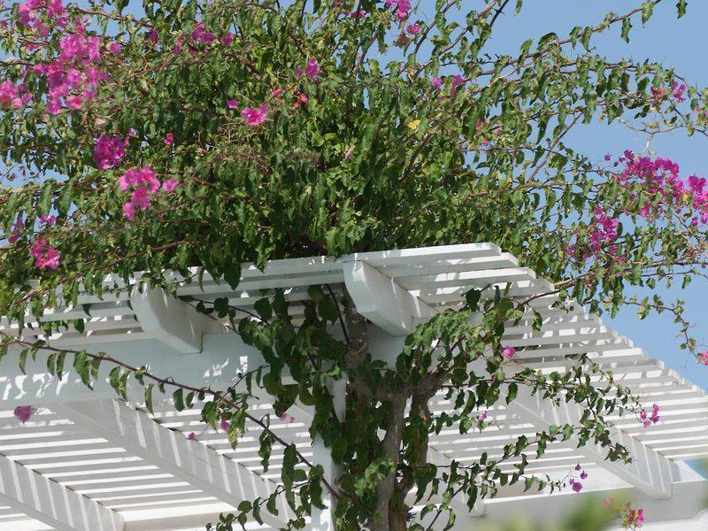 323DB14521C386317F28A3E658A3CBC8