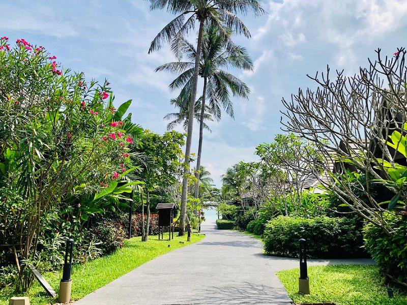 20D23EA2C0C66270265865DF54C72104