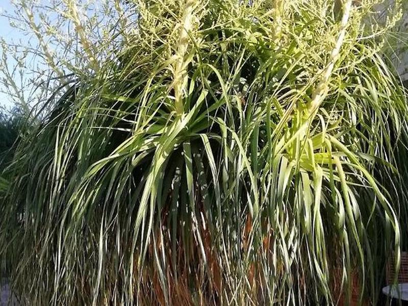 D3F41349843CA4CE9B366E6816396495