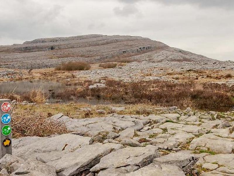 178A06CA40578BF36E3572EB26E19B0B