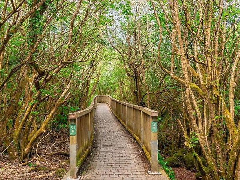 C8EE204E30AB42DAD55956F3B2D38341