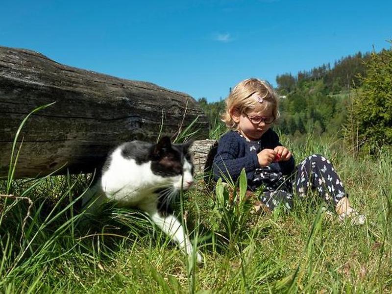 04782E05D2D779807F200F4F8099C8F6