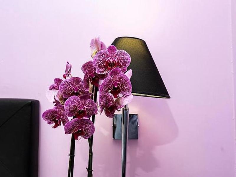 A25B9DC9AB55277DD04F4078716EC66A