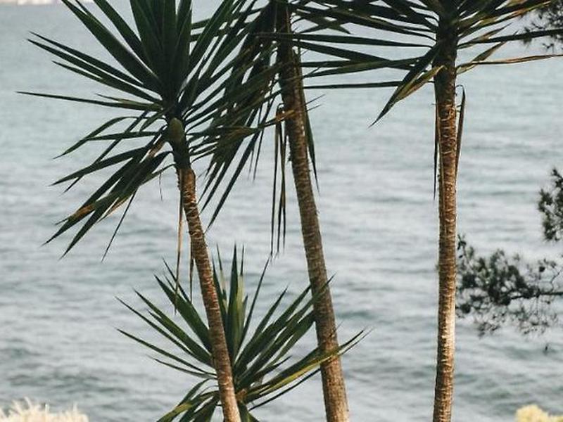 6C55EE2DEDD99A4A478355FEEEDF54B9