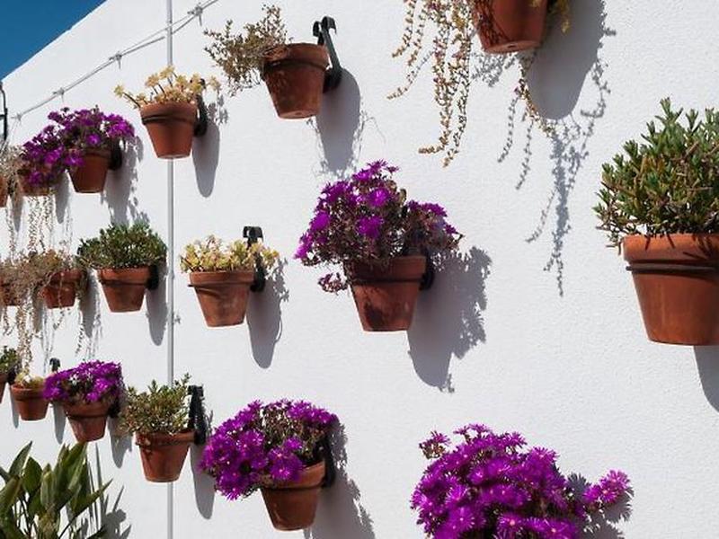 4CAF72502C3C47F0C72818B8861F357B