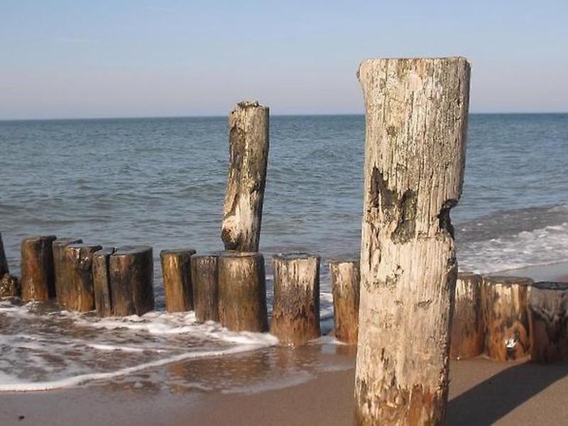 088EC829535CB8335600D796E8E05AF4