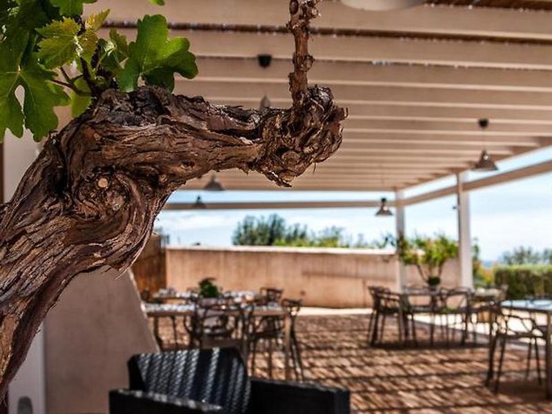 B02CC4693BE0D135A33EBFD0A0C14C87