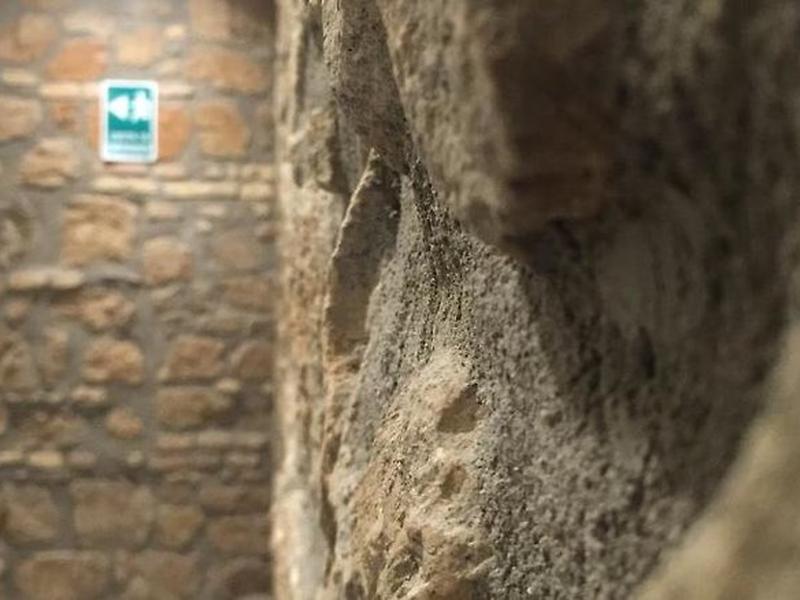 E83D231EEE2586710EA5565B26A2DF71