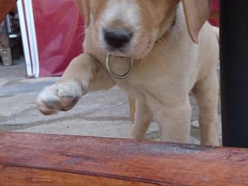 3DA3C31FB8A5C3734C7B6F41AC450E60