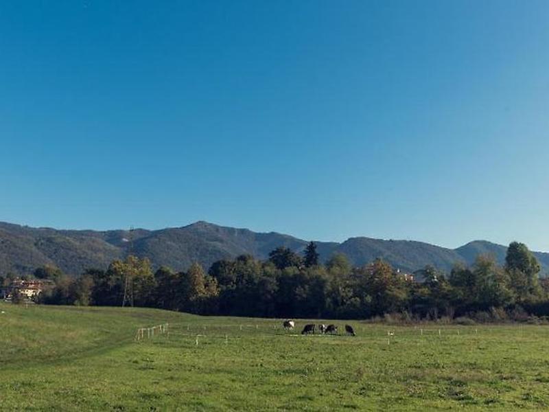 76C15B990DE4495A482035DF3728461C