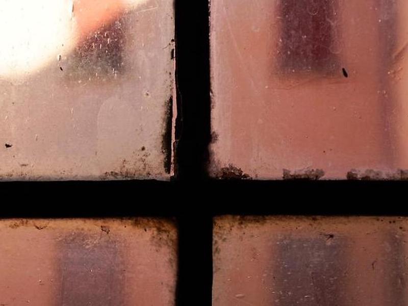 67EE42A1A84CF742D8DF8F8E866D03BC