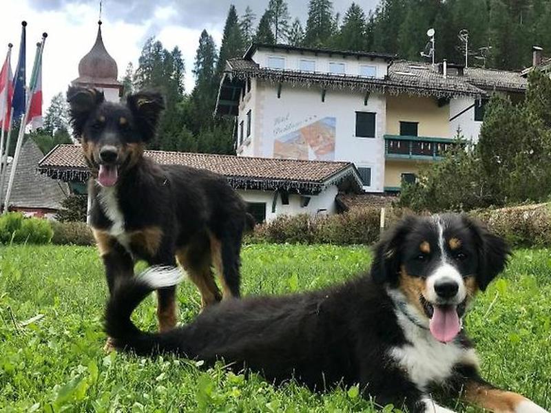 9ABC3C1B6BE6C71916421E9C6012C353