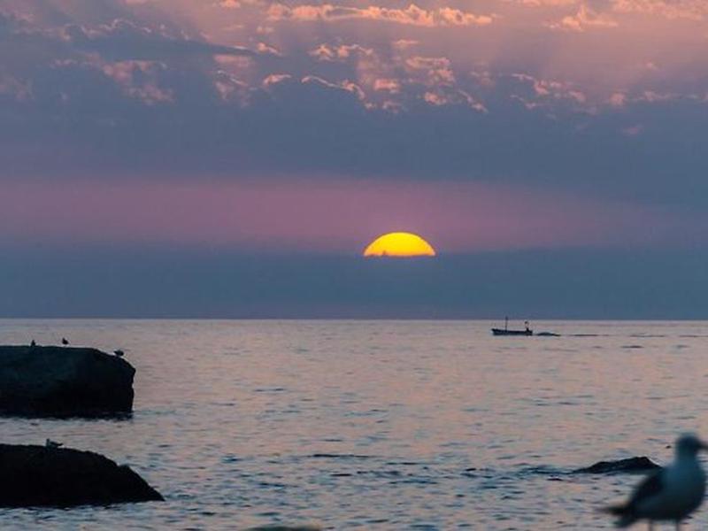 DDDF8E5292339AFC433E39A6F7E05DE0