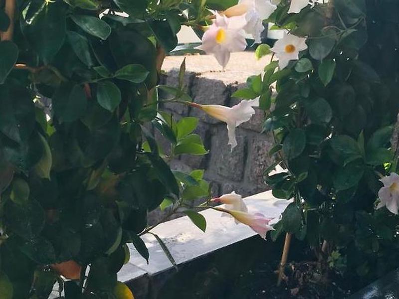 54EF08928597047BC0EDDEA6A783EFD0