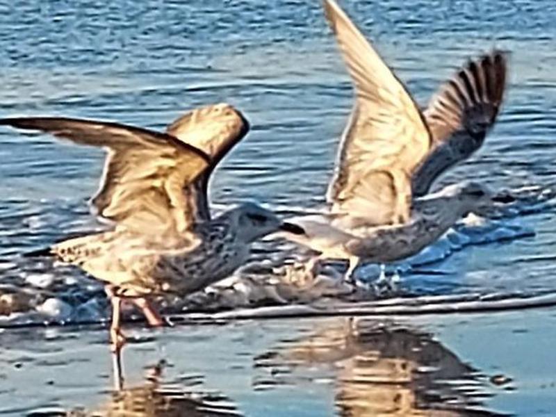 B3450A7DC4BD70E7410DFAB26D24A6D3